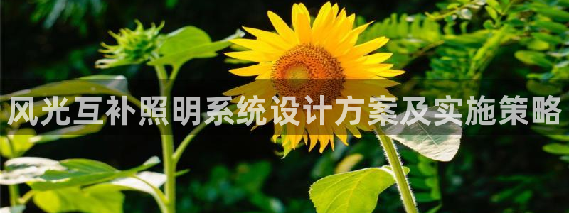 千亿国际2021官方网站pkufli4.30