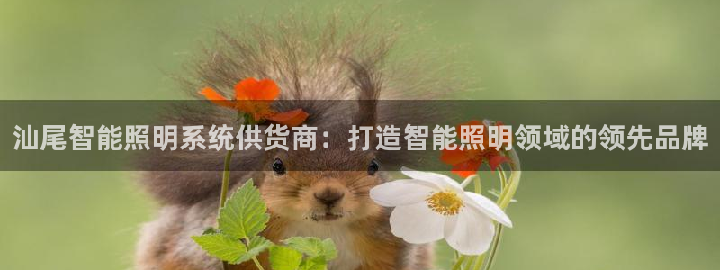 千亿国际淏玉化妆品