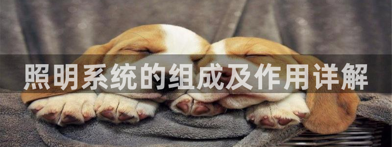 千亿国际qy88