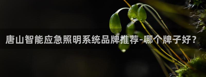 千亿国际平台怎么样啊