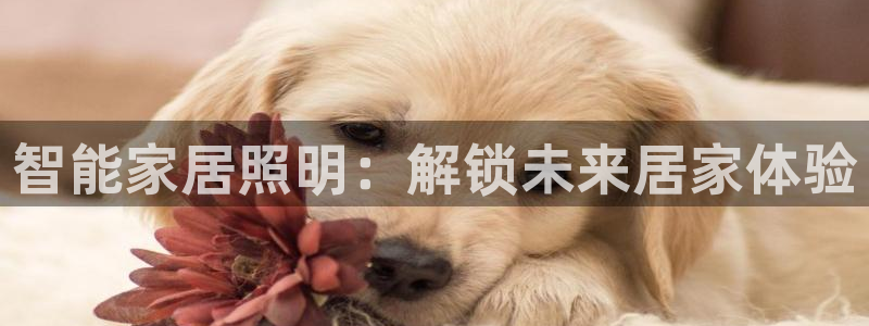 千亿国际首页登录网址