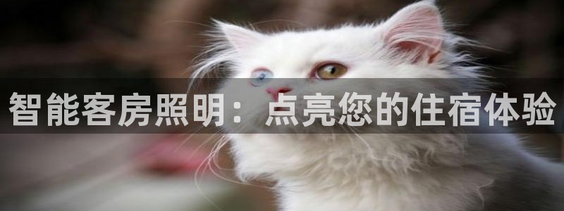 千亿国际2021官方网站baoli5.10