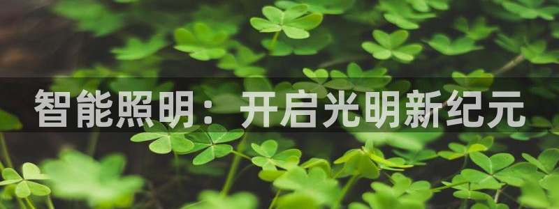 千亿国际芯片