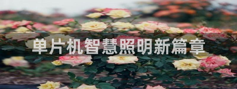千亿国际打彩是真的吗知乎