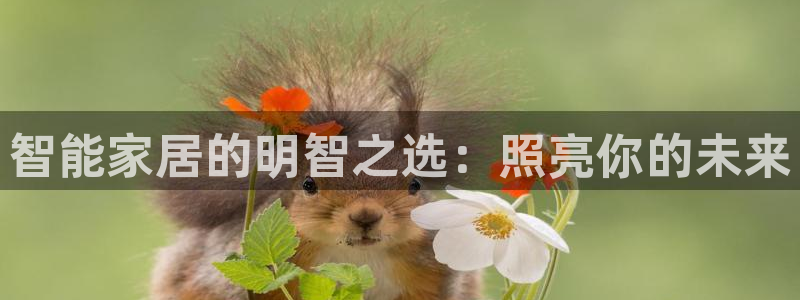 千亿国际入口