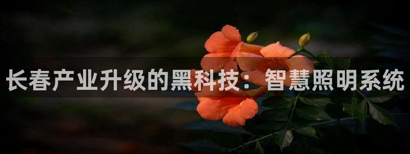 千亿国际游戏平台网站