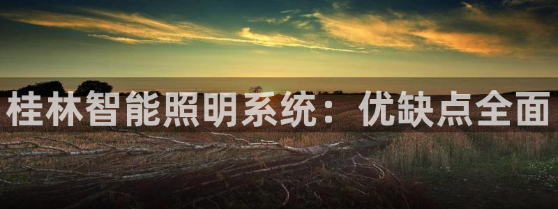 千亿国际2021官方网站baoli4.15