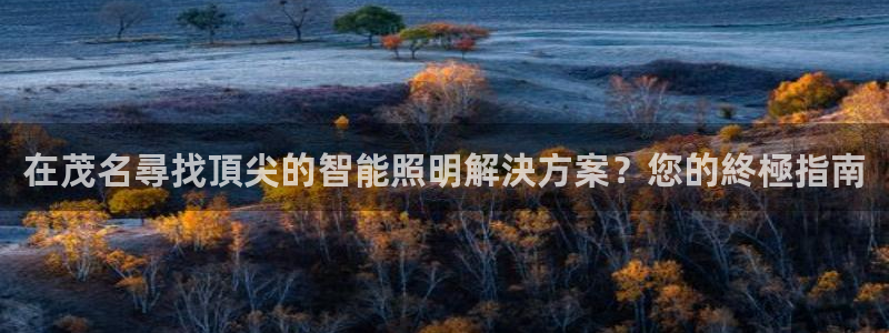 千亿国际(唯一)平台:在茂名尋找頂尖的智能照明解決方案?您的終極指南