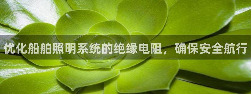 千亿国际账号登录：优化船舶照明系统的绝缘电阻，确保安全航行