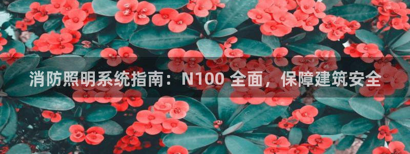 千亿国际希沃赋能教育:消防照明系统指南:N100 全面,保障建筑安全
