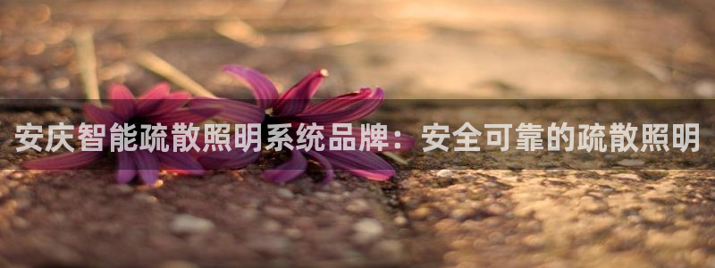 千亿国际龙8:安庆智能疏散照明系统品牌:安全可靠的疏散照明