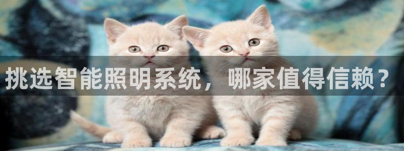 千亿国际2020官方网站pkufli9.201:挑选智能照明系统,哪家值得信赖?