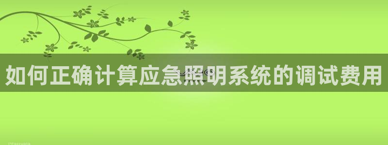千亿国际芯片上市公司:如何正确计算应急照明系统的调试费用