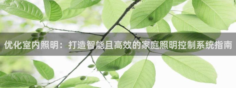 千亿国际游戏登录:优化室内照明:打造智能且高效的家庭照明控制系统指南