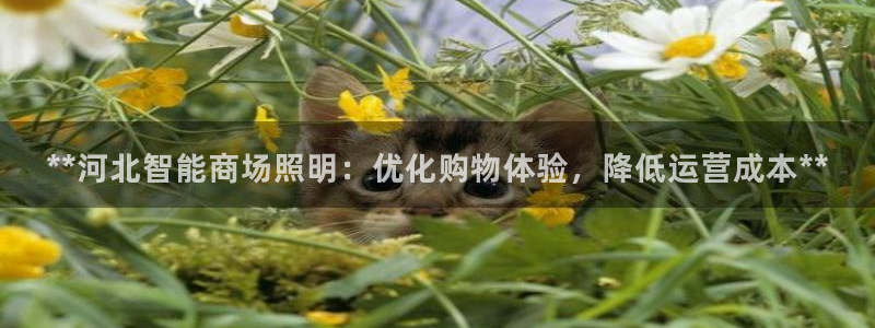 千亿国际在线新闻资讯：**河北智能商场照