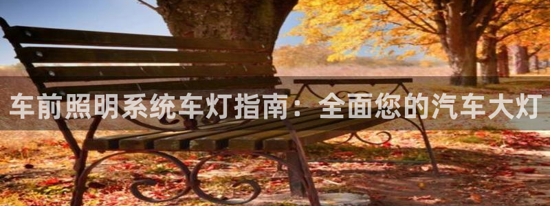 千亿国际q y 996：车前照明系统车灯