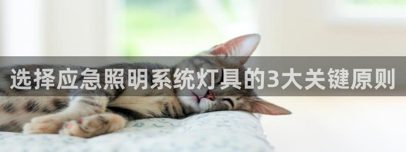 千亿国际是做什么的呢