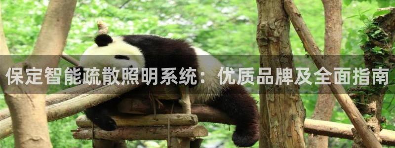 千亿国际是什么平台公司：保定智能疏散照明系统：优质品牌及全面指南