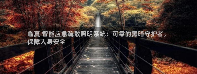 千亿国际淏玉化妆品:临夏 智能应急疏散照明系统:可靠的黑暗守护者,
保障人身安全