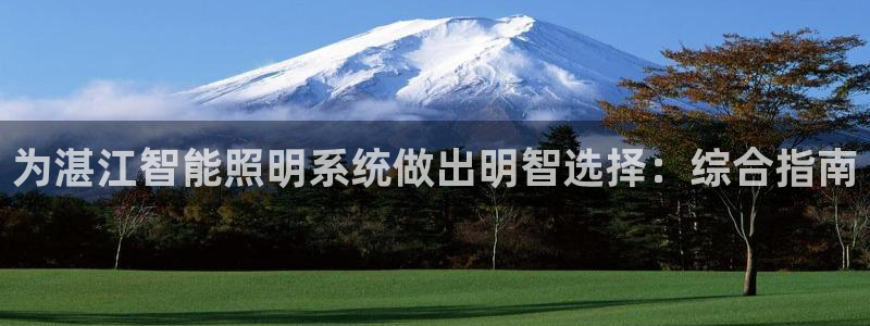 千亿国际平台是真是假啊:为湛江智能照明系统做出明智选择:综合指南
