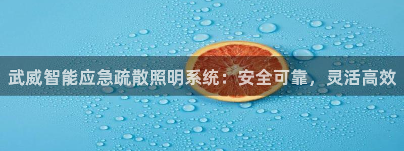 千亿国际跟盛辉是一家的吗:武威智能应急疏散照明系统:安全可靠,灵活高效