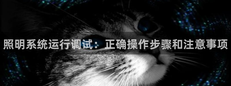 千亿国际平台是什么:照明系统运行调试:正确操作步骤和注意事项