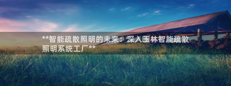 千亿国际车载冰箱:**智能疏散照明的未来:深入玉林智能疏散
照明系统工厂**