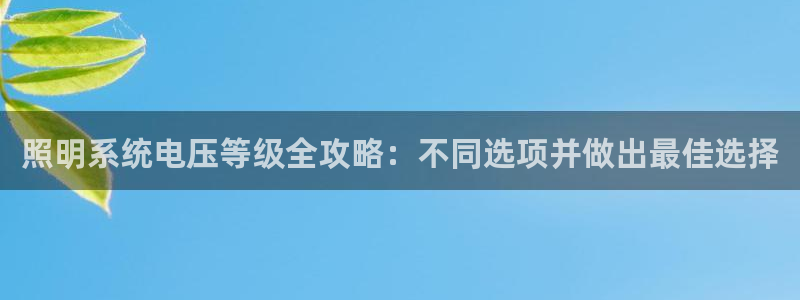 千亿国际官方网站入口:照明系统电压等级全攻略:不同选项并做出最佳选择