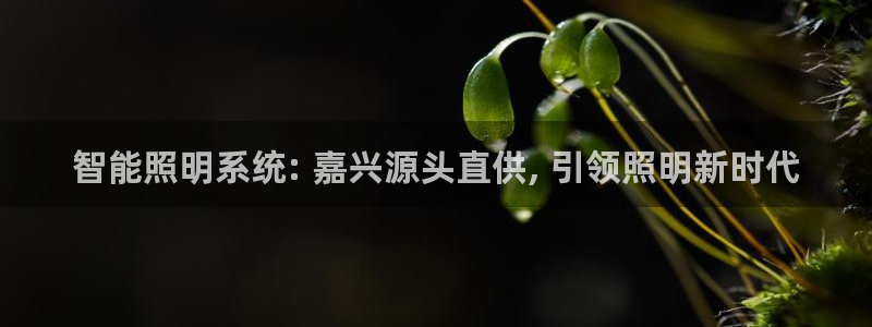 千亿国际提款有没有问题啊知乎：智能照明系