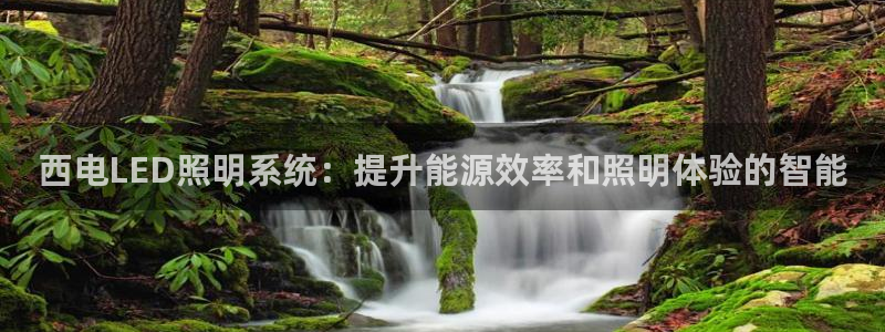 千亿国际唯一官方网站-4.23 Inurl:yjjzxh:西电LED照明系统:提升能源效率和照明体验的智能