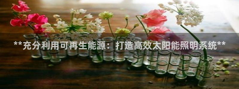 千亿国际游戏千亿官网:**充分利用可再生能源:打造高效太阳能照明系统**